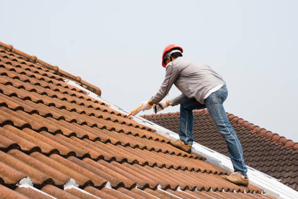 Best Roofing for New Construction  in Anniston, AL