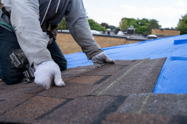Best Sheet Metal Roofing  in Anniston, AL