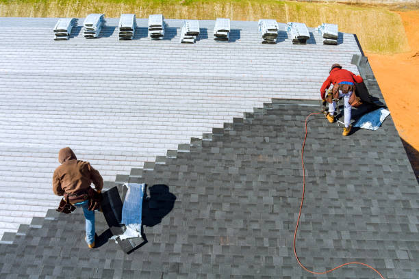 Best Roof Moss and Algae Removal  in Anniston, AL