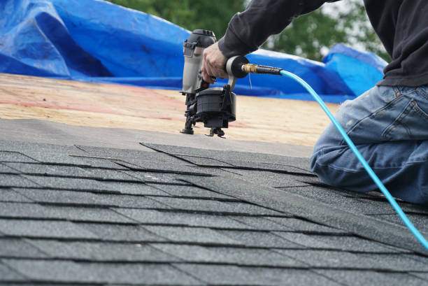 Best Storm Damage Roof Repair  in Anniston, AL